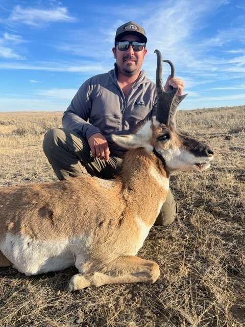 Pronghorn/Antelope